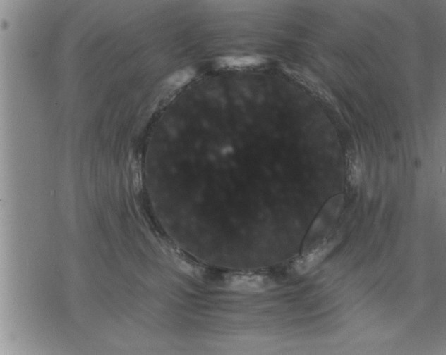 X0000075840471200609221709