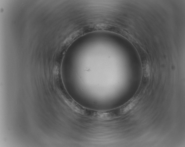 X0000075840472200609221709