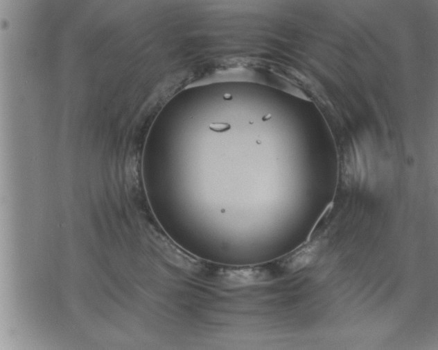 X0000075840473200609221709