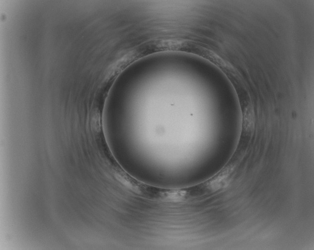 X0000075840474200609221709