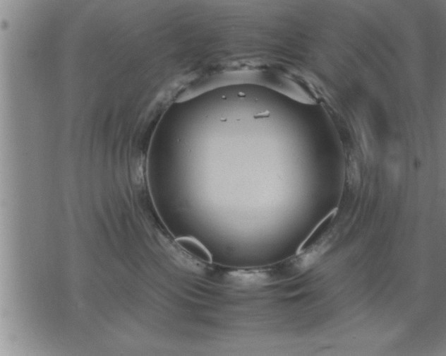 X0000075840477200609221709