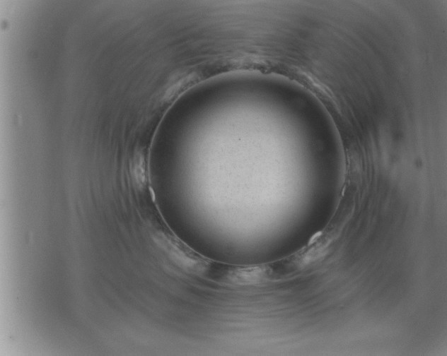 X0000075840479200609221710