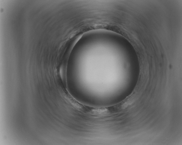 X0000075840480200609221710