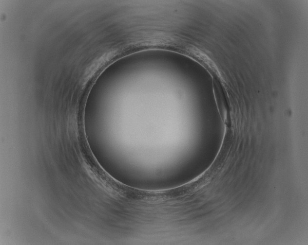 X0000075840482200609221709