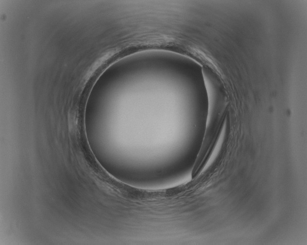 X0000075840483200609221709