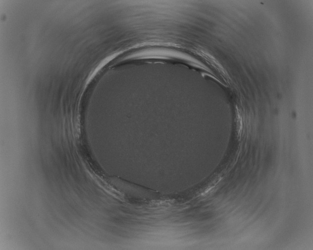 X0000075840484200609221709