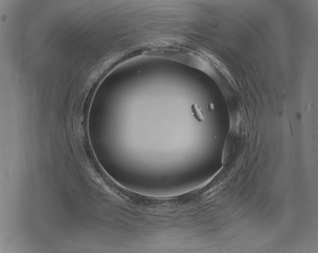 X0000075840485200609221709