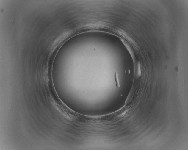 X0000075840486200609221709