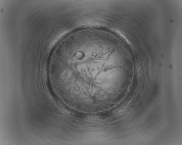 X0000075840487200609221709