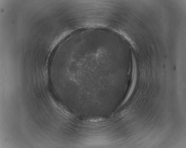 X0000075840488200609221709