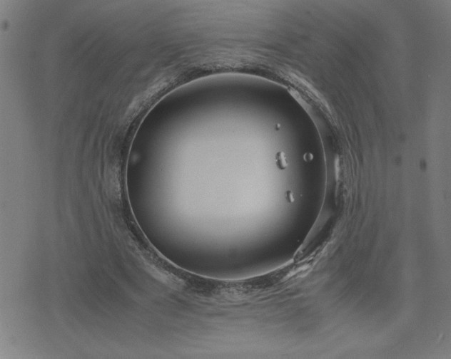 X0000075840489200609221709