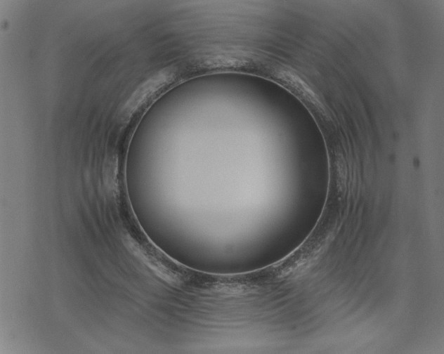 X0000075840490200609221709