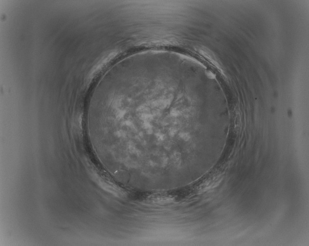 X0000075840491200609221709