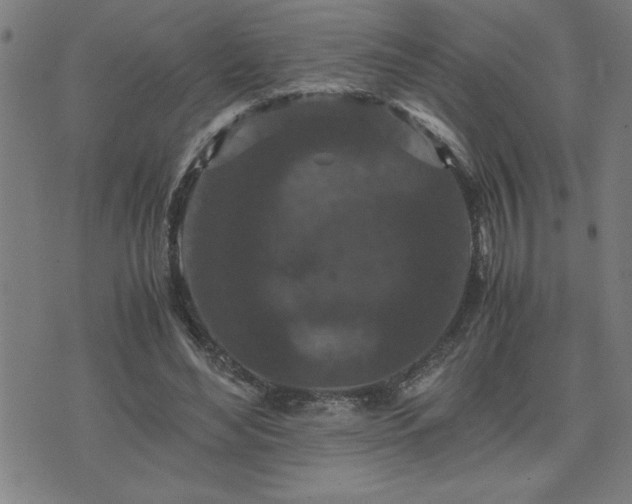 X0000075840492200609221709