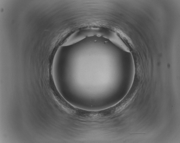 X0000075840493200609221709