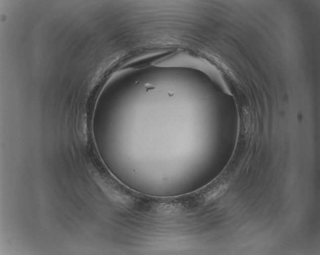 X0000075840494200609221709