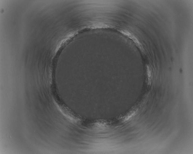 X0000075840496200609221709