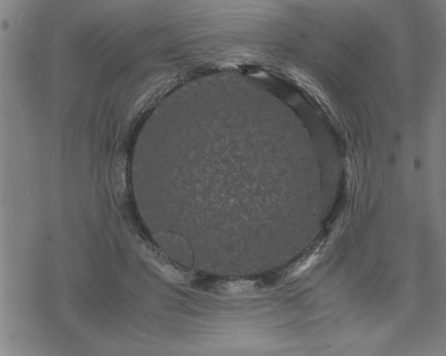 X0000075840501200609221708