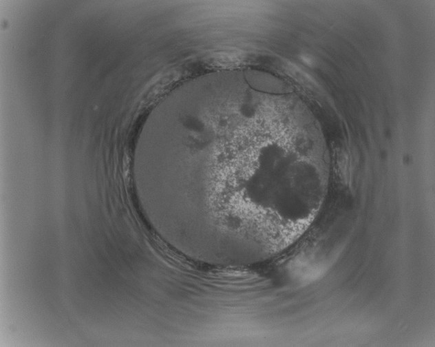 X0000075840507200609221708