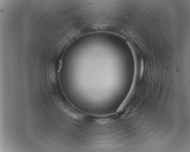 X0000075840508200609221708