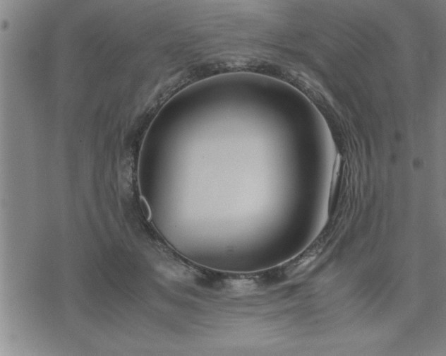 X0000075840509200609221708