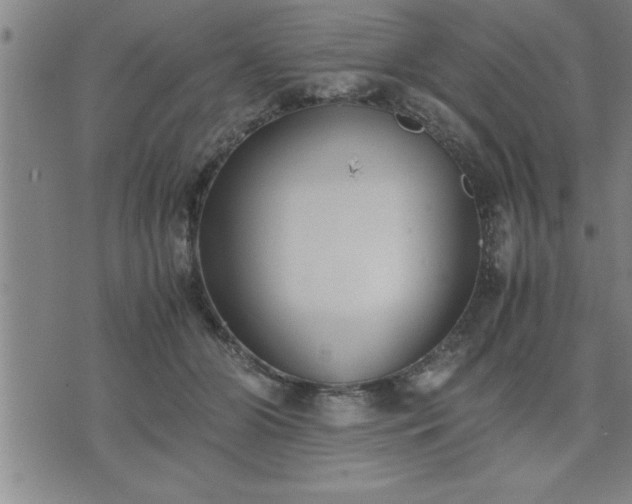 X0000075840510200609221708