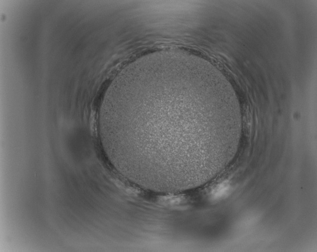 X0000075840511200609221708