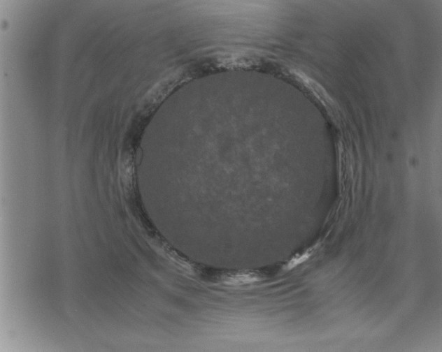 X0000075840513200609221708