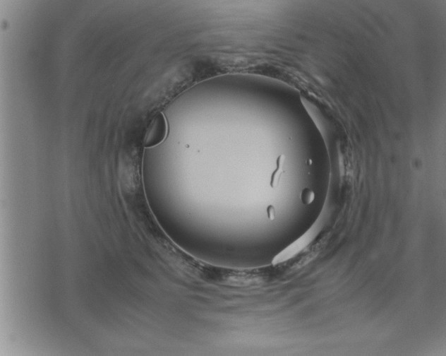 X0000075840515200609221708