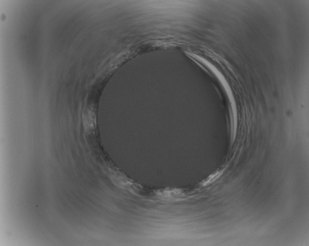 X0000075840517200609221708