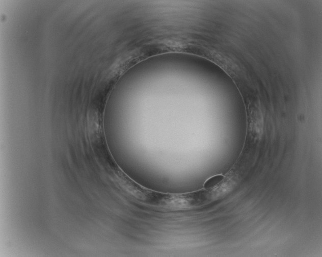 X0000075840518200609221708