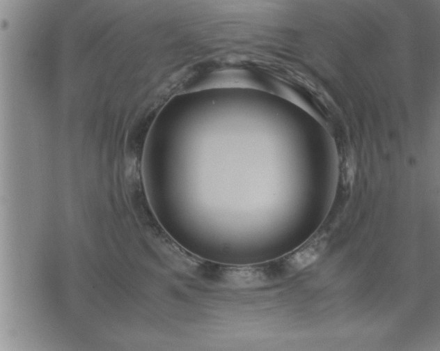 X0000075840521200609221708