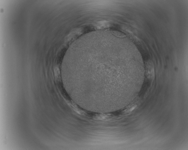 X0000075840523200609221708