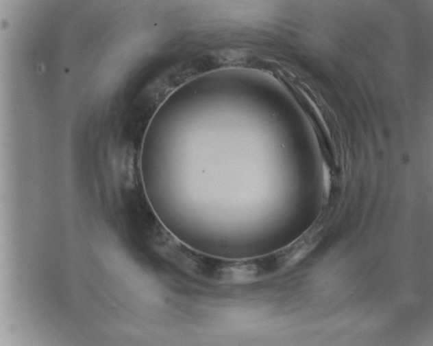 X0000075840525200609221708