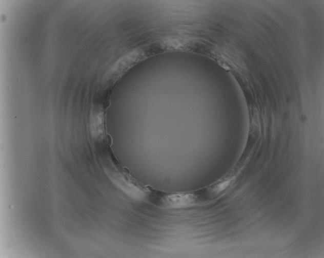 X0000075840526200609221708