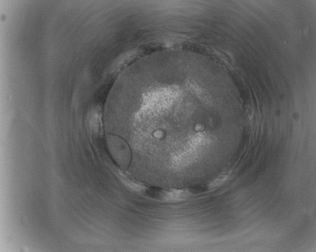 X0000075840527200609221708