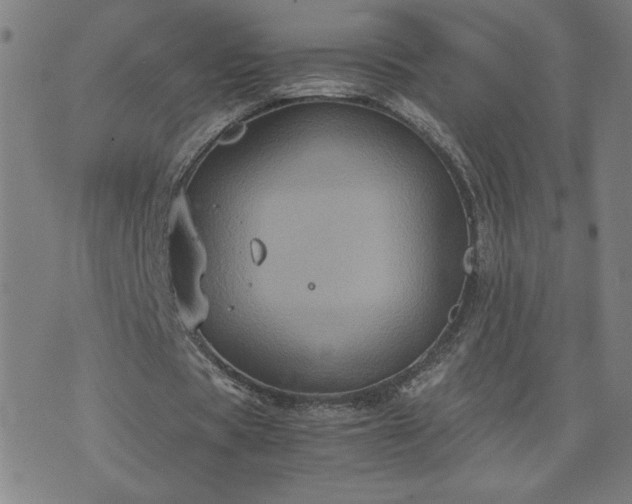 X0000075840529200609221707