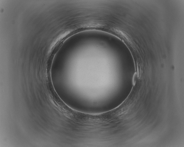 X0000075840531200609221707