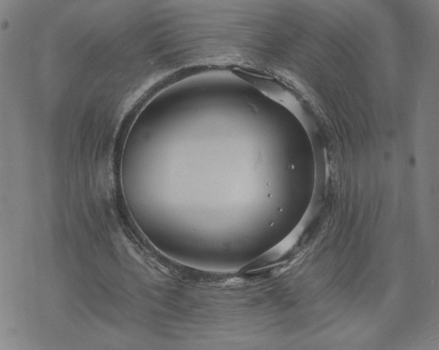 X0000075840532200609221707