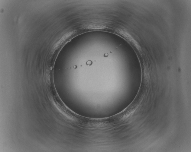 X0000075840533200609221707