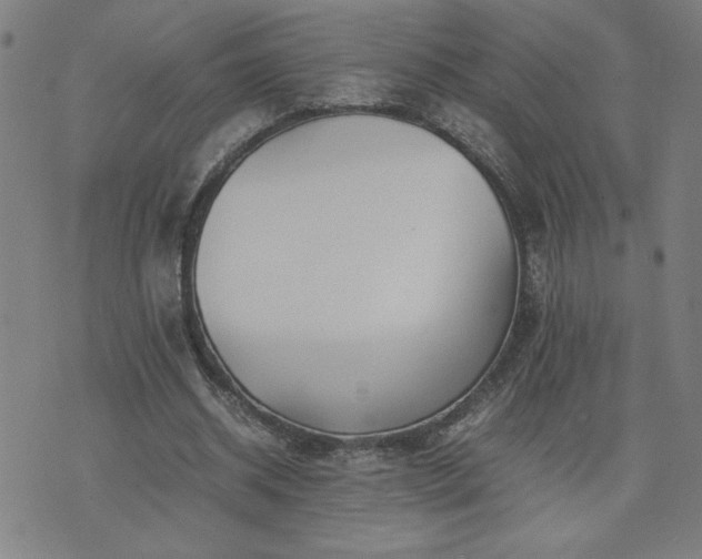 X0000075840534200609221707