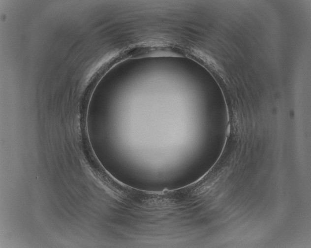 X0000075840535200609221707