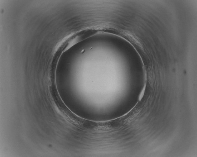 X0000075840536200609221707