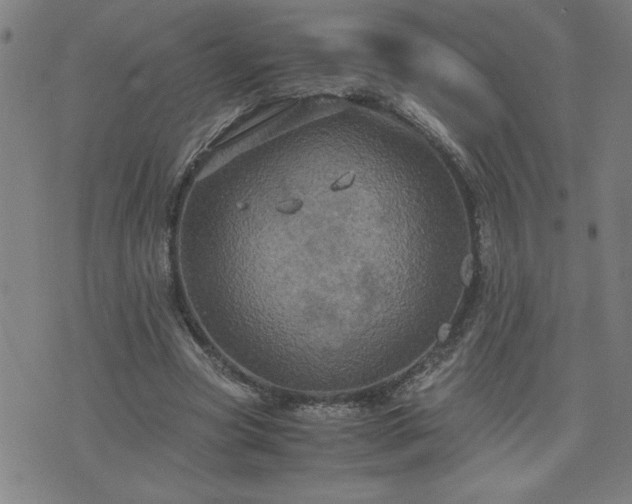 X0000075840537200609221707