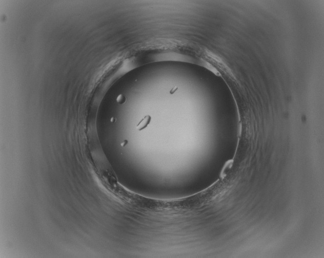 X0000075840538200609221707