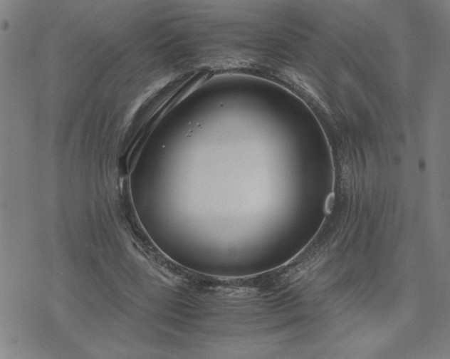 X0000075840539200609221707