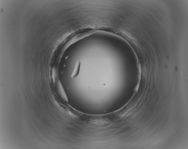 X0000075840540200609221707