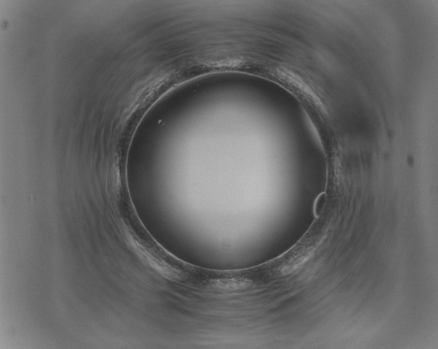 X0000075840541200609221707