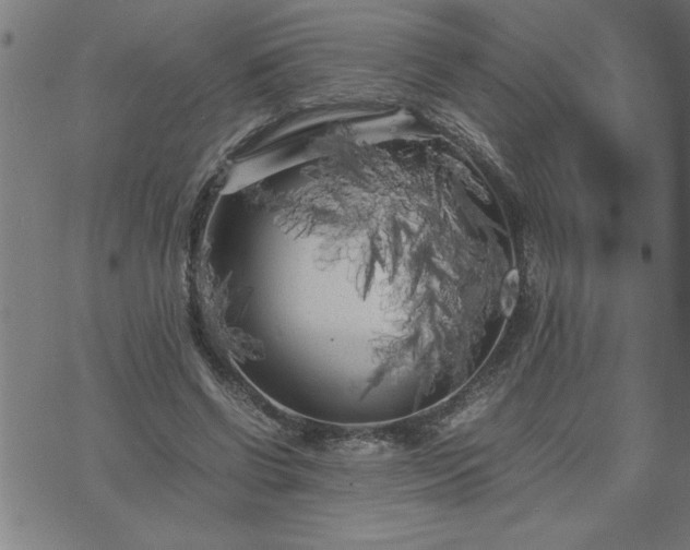 X0000075840542200609221707