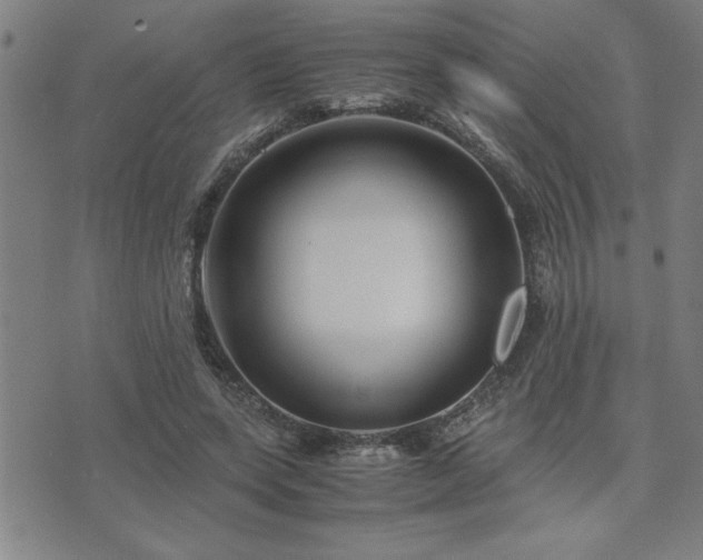 X0000075840543200609221707